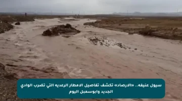 سيول عنيفة.. «الأرصاد» تكشف تفاصيل الأمطار الرعدية التي تضرب الوادي الجديد وأبوسمبل اليوم